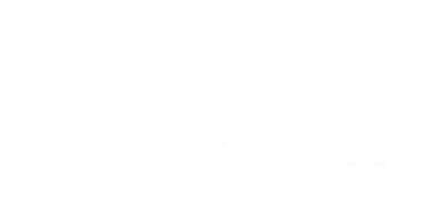International Association of Schools of Social Work